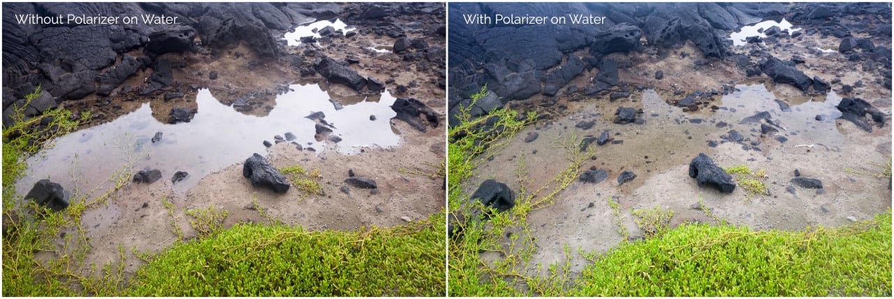 Effects of a polarizing filter